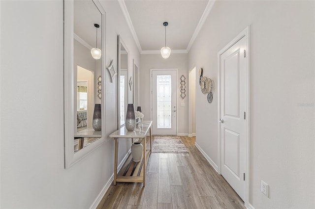 doorway with light hardwood / wood-style floors and crown molding