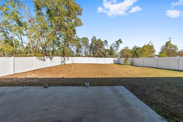 view of yard with a patio area