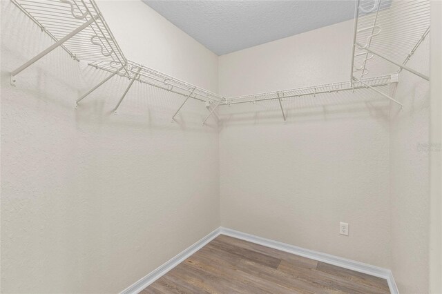 walk in closet with wood-type flooring