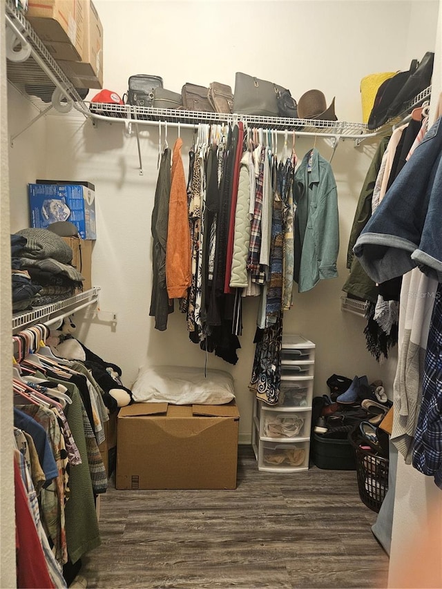 walk in closet featuring dark hardwood / wood-style flooring