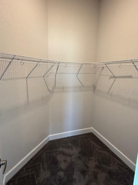 walk in closet featuring carpet flooring