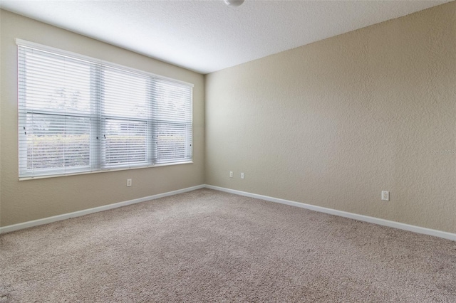 carpeted empty room featuring a healthy amount of sunlight and a textured ceiling