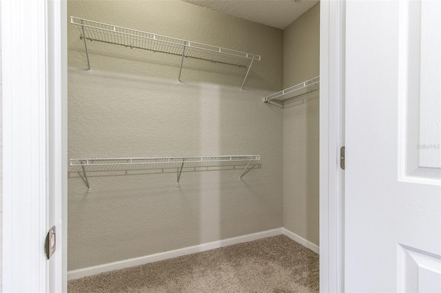 spacious closet with carpet floors