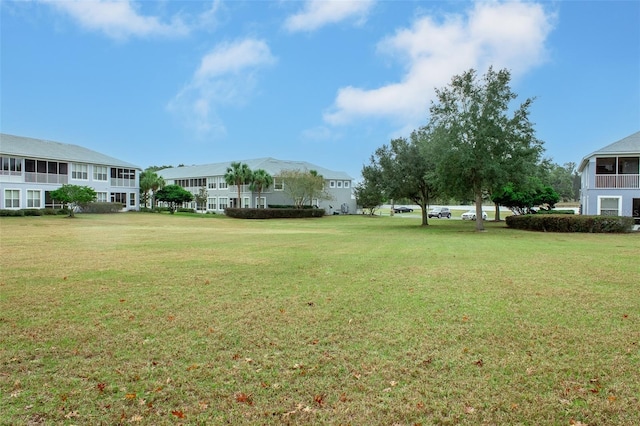 view of yard