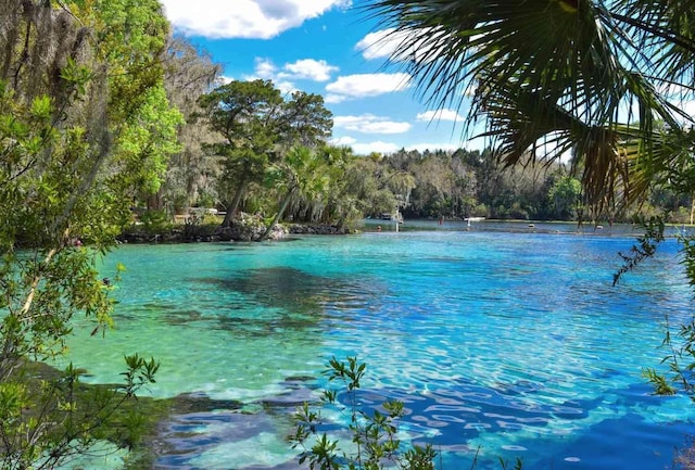 3127 NE 45th Ave, Ocala, FL 34470 - water view featuring a forest view
