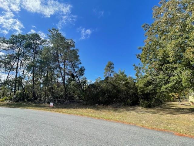 Listing photo 3 for TBD SW 168th Loop, Ocala FL 34473