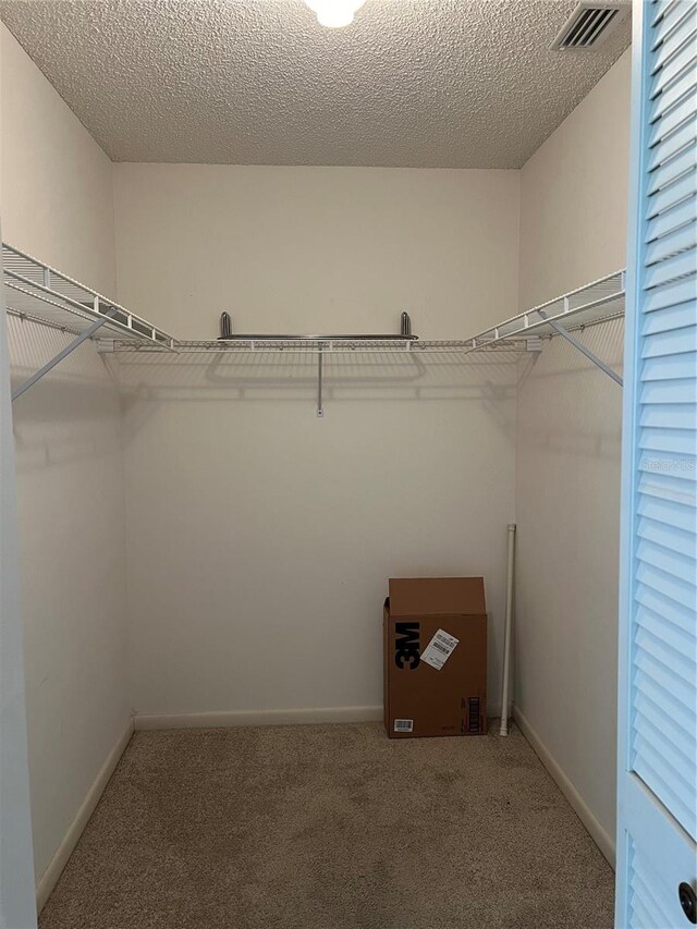 walk in closet featuring carpet