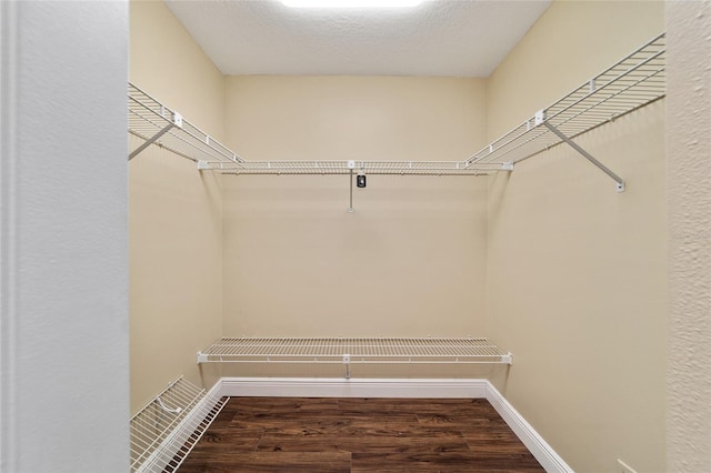 spacious closet with hardwood / wood-style flooring