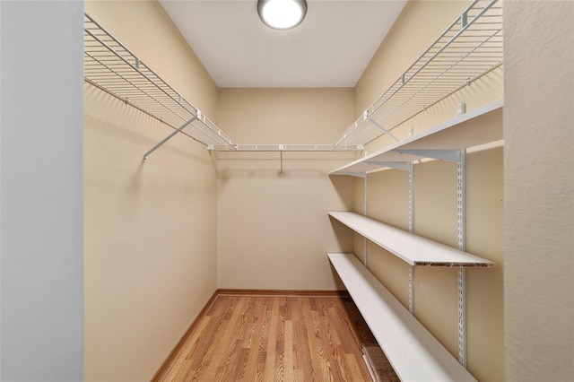 spacious closet featuring hardwood / wood-style flooring