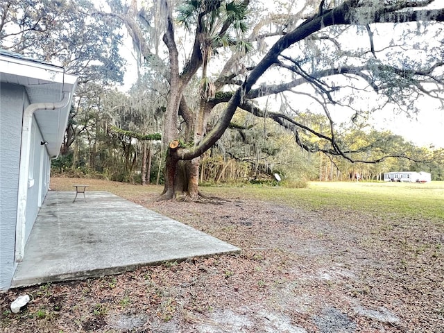 view of yard featuring a patio