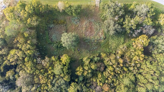 NW 101st Street Rd, Ocala, FL 34482 - photo 3