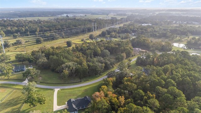 NW 101st Street Rd, Ocala, FL 34482 - photo 10
