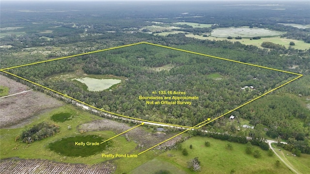 8141 Pretty Pond Ln, Perry, FL 32348 - photo 1