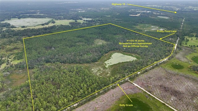 8141 Pretty Pond Ln, Perry, FL 32348 - photo 2