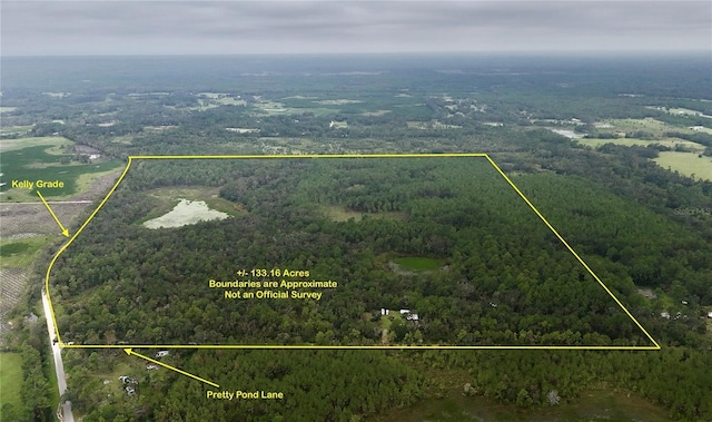 8141 Pretty Pond Ln, Perry, FL 32348 - photo 3