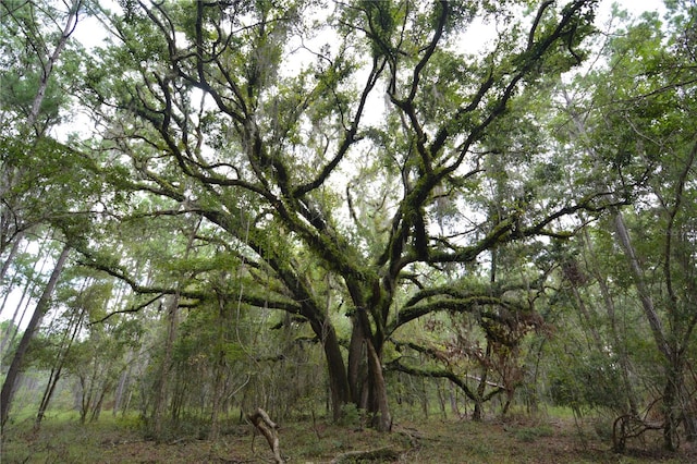 view of nature