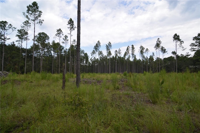 8141 Pretty Pond Ln, Perry, FL 32348 - photo 5
