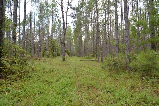 8141 Pretty Pond Ln, Perry, FL 32348 - photo 6