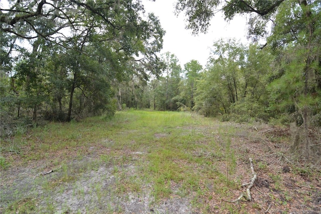 view of local wilderness