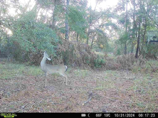 8141 Pretty Pond Ln, Perry, FL 32348 - photo 15