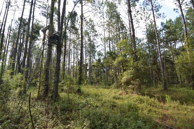 8141 Pretty Pond Ln, Perry, FL 32348 - photo 16