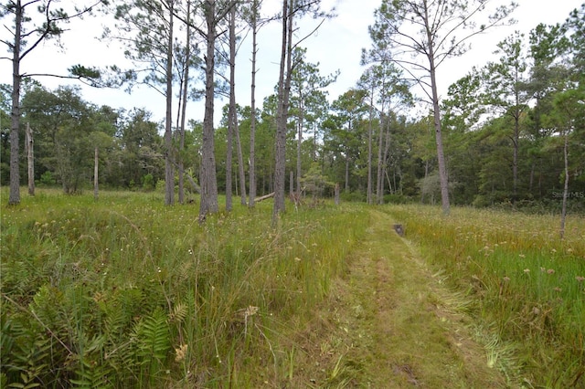 8141 Pretty Pond Ln, Perry, FL 32348 - photo 19