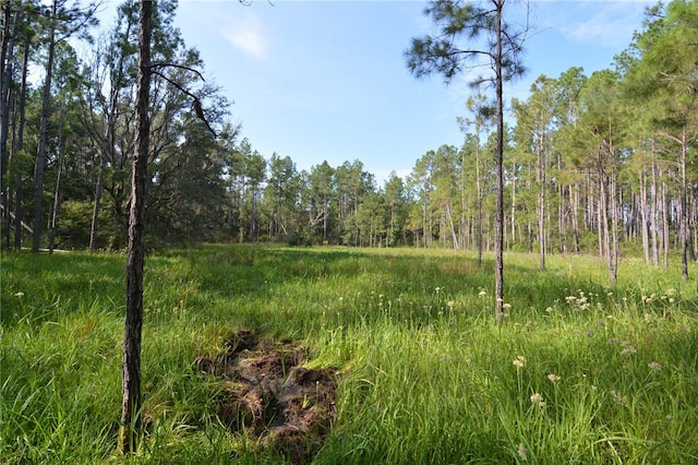 view of landscape