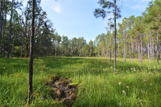 8141 Pretty Pond Ln, Perry, FL 32348 - photo 21
