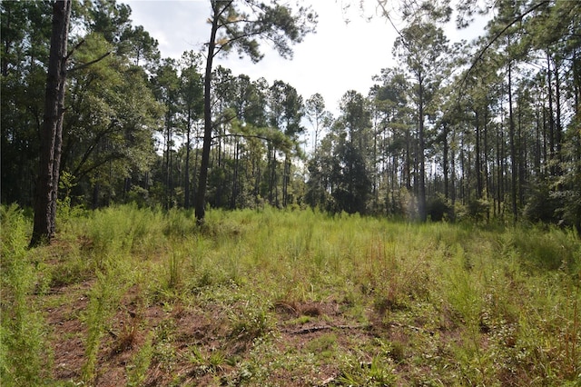 view of local wilderness