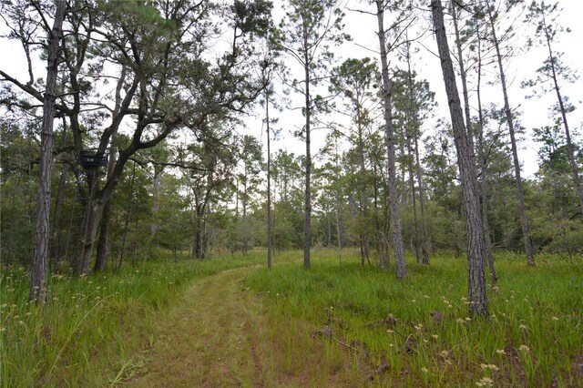 8141 Pretty Pond Ln, Perry, FL 32348 - photo 23