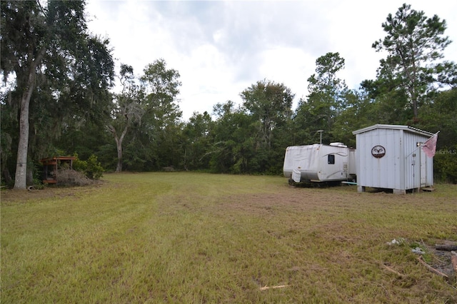 view of yard with a storage unit