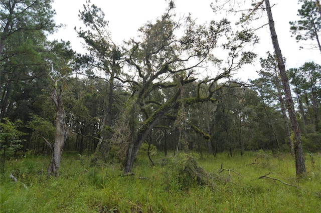 view of landscape