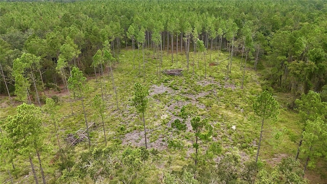 view of landscape