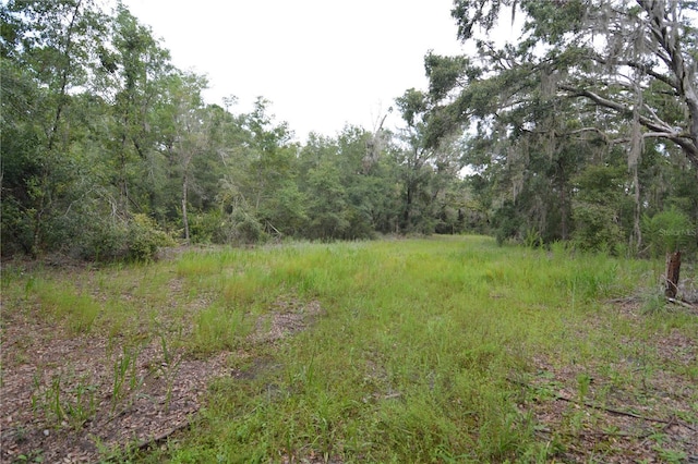 8141 Pretty Pond Ln, Perry, FL 32348 - photo 44