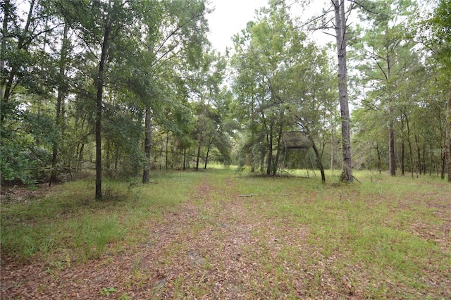 8141 Pretty Pond Ln, Perry, FL 32348 - photo 46