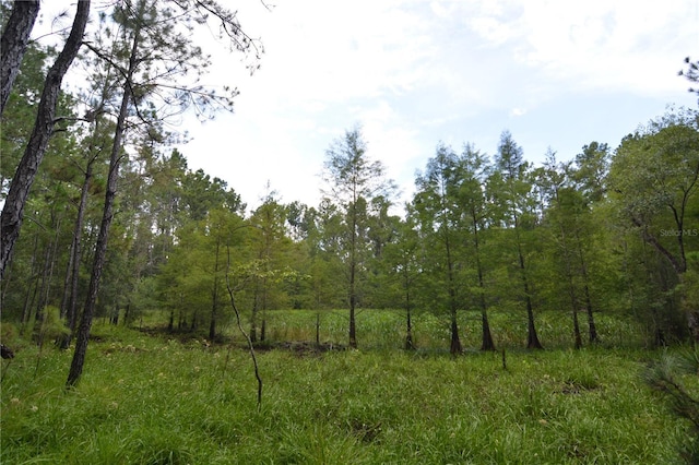 8141 Pretty Pond Ln, Perry, FL 32348 - photo 47