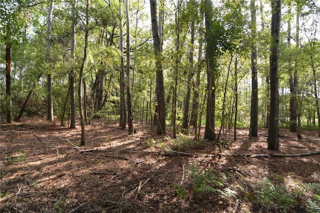 8141 Pretty Pond Ln, Perry, FL 32348 - photo 48