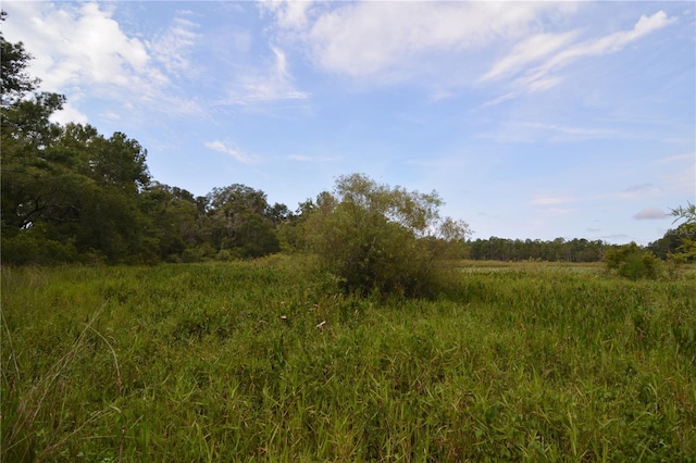 8141 Pretty Pond Ln, Perry, FL 32348 - photo 49