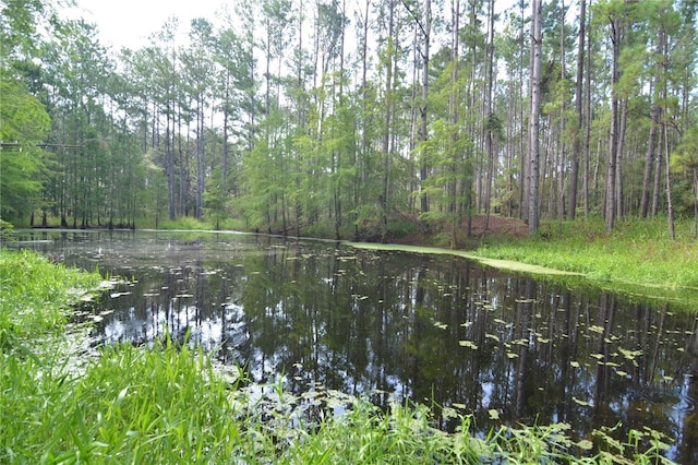 8141 Pretty Pond Ln, Perry, FL 32348 - photo 50