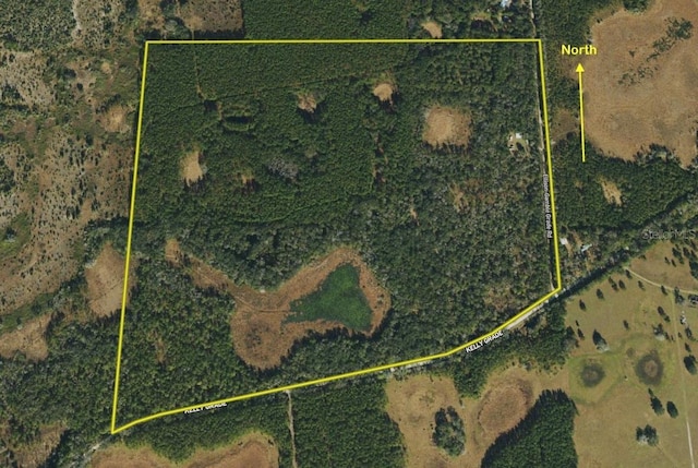 8141 Pretty Pond Ln, Perry, FL 32348 - photo 55