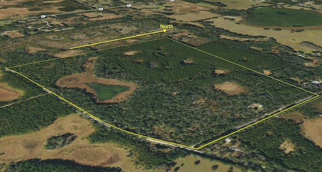 8141 Pretty Pond Ln, Perry, FL 32348 - photo 60