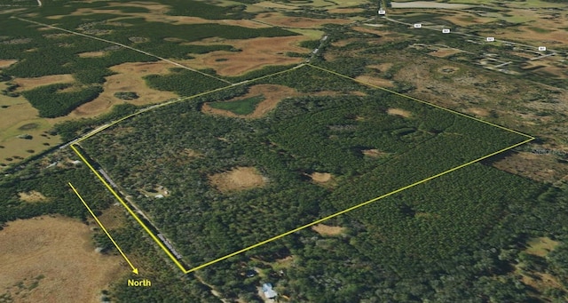 8141 Pretty Pond Ln, Perry, FL 32348 - photo 61