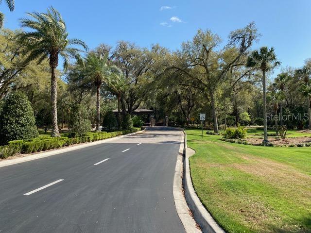 view of asphalt street with curbs, view of scattered trees, and traffic signs
