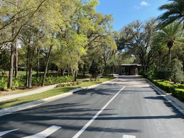 view of asphalt road with curbs and view of wooded area