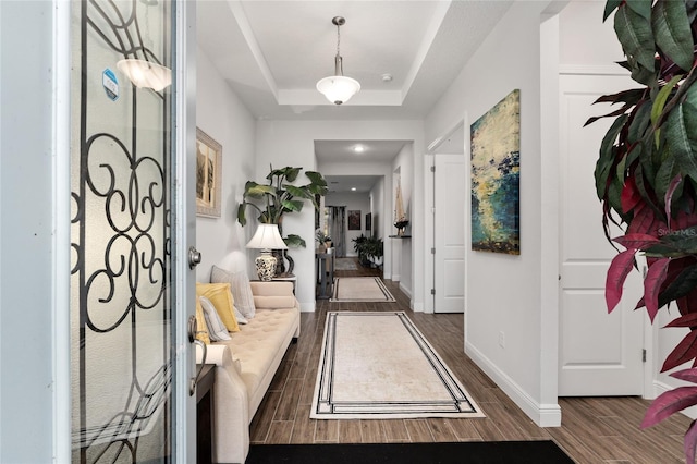 entryway featuring dark wood-type flooring and a tray ceiling