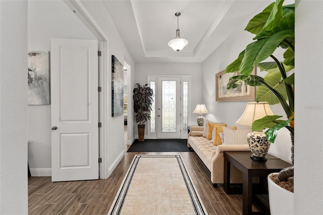 entrance foyer featuring dark hardwood / wood-style flooring and a raised ceiling