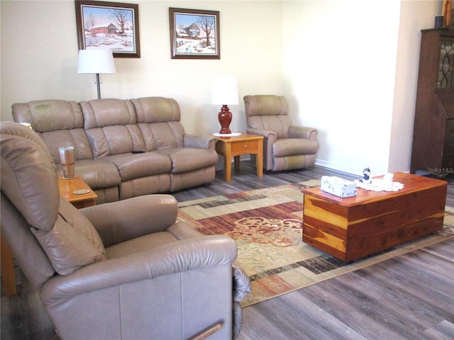 living room featuring dark hardwood / wood-style floors