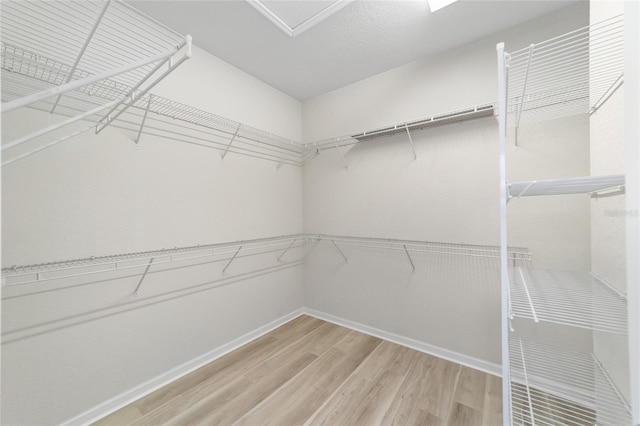 walk in closet featuring hardwood / wood-style floors