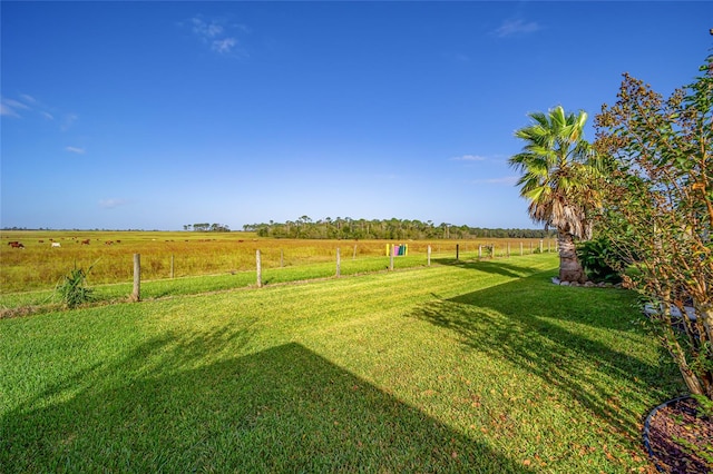 view of yard with a rural view