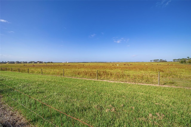 view of yard featuring a rural view